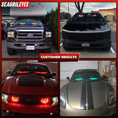 LED Animated EyesLED Animated Eyes for Maximum Street Presence